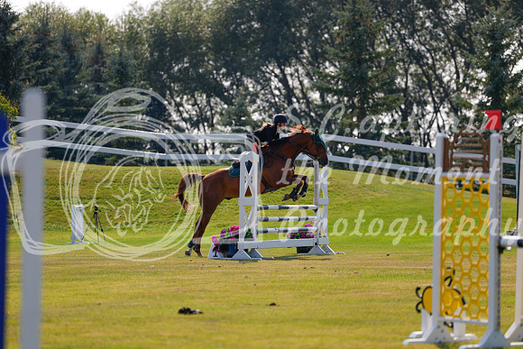 2025 - Haylee - Harvest Horse Show - Thursday, September 11th 01728
