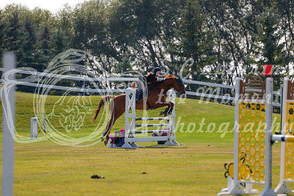 2025 - Haylee - Harvest Horse Show - Thursday, September 11th 01730