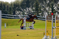 2025 - Haylee - Harvest Horse Show - Thursday, September 11th 01732