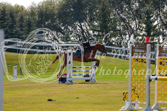 2025 - Haylee - Harvest Horse Show - Thursday, September 11th 01732