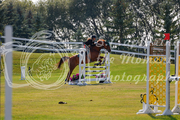2025 - Haylee - Harvest Horse Show - Thursday, September 11th 01733