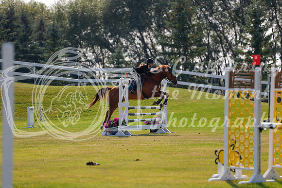 2025 - Haylee - Harvest Horse Show - Thursday, September 11th 01735
