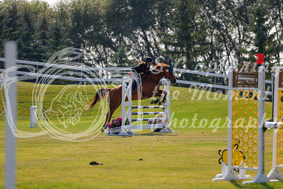 2025 - Haylee - Harvest Horse Show - Thursday, September 11th 01734