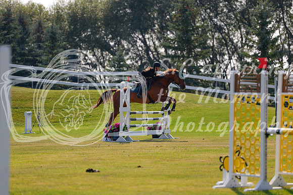 2025 - Haylee - Harvest Horse Show - Thursday, September 11th 01736