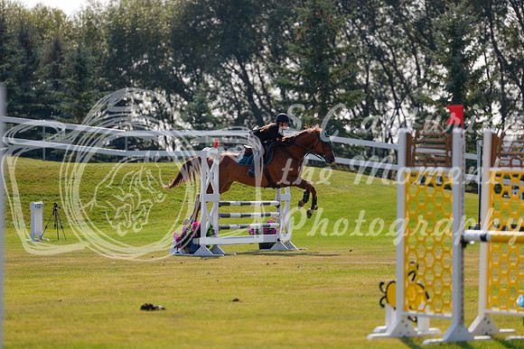 2025 - Haylee - Harvest Horse Show - Thursday, September 11th 01738