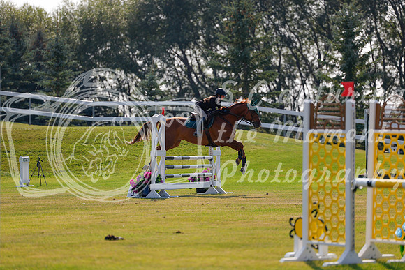 2025 - Haylee - Harvest Horse Show - Thursday, September 11th 01739