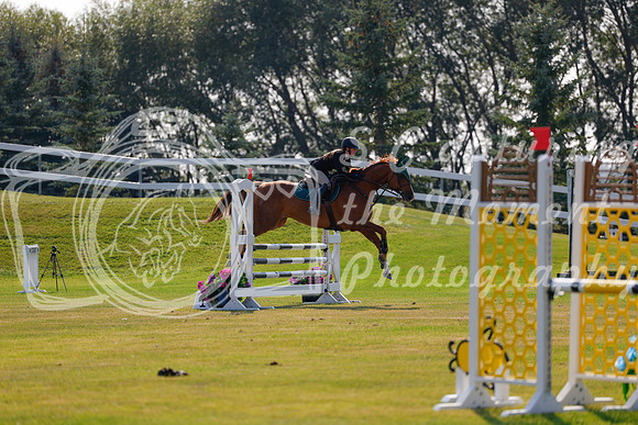 2025 - Haylee - Harvest Horse Show - Thursday, September 11th 01740