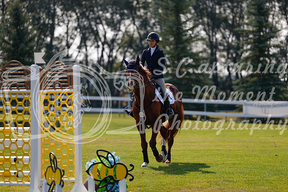 2025 - Haylee - Harvest Horse Show - Thursday, September 11th 01744