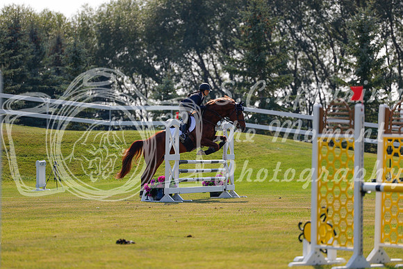 2025 - Haylee - Harvest Horse Show - Thursday, September 11th 01746