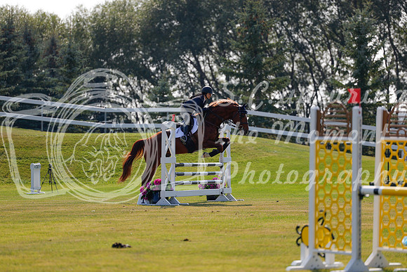 2025 - Haylee - Harvest Horse Show - Thursday, September 11th 01747