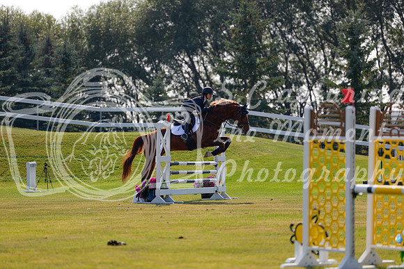 2025 - Haylee - Harvest Horse Show - Thursday, September 11th 01748