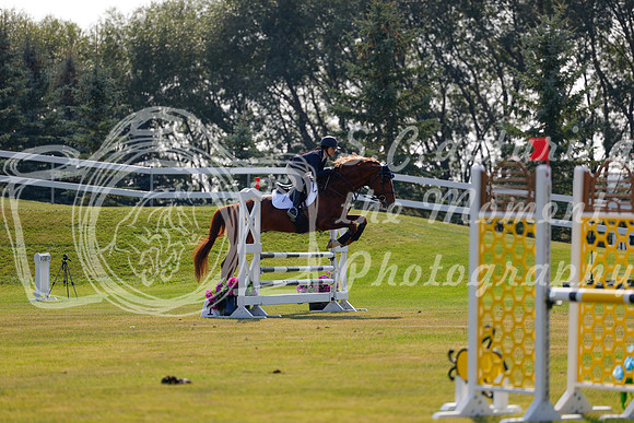 2025 - Haylee - Harvest Horse Show - Thursday, September 11th 01749