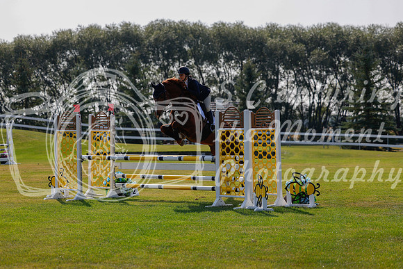 2025 - Haylee - Harvest Horse Show - Thursday, September 11th 01750