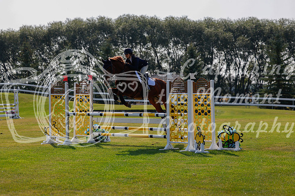 2025 - Haylee - Harvest Horse Show - Thursday, September 11th 01754