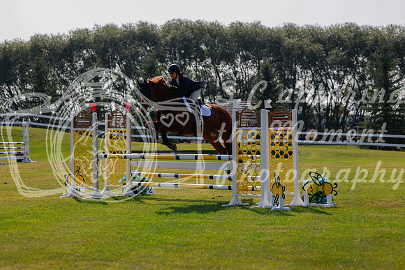 2025 - Haylee - Harvest Horse Show - Thursday, September 11th 01755