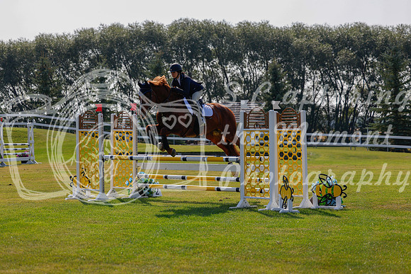 2025 - Haylee - Harvest Horse Show - Thursday, September 11th 01756