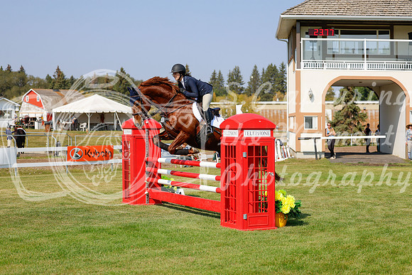 2025 - Haylee - Harvest Horse Show - Thursday, September 11th 01759