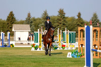 2025 - Haylee - Harvest Horse Show - Thursday, September 11th 00001
