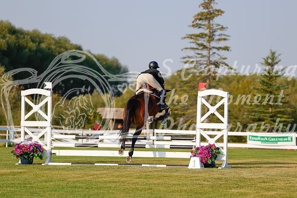 2025 - Haylee - Harvest Horse Show - Thursday, September 11th 00007