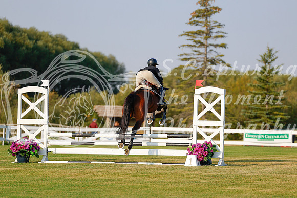 2025 - Haylee - Harvest Horse Show - Thursday, September 11th 00008