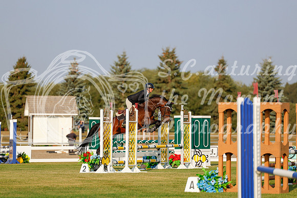 2025 - Haylee - Harvest Horse Show - Thursday, September 11th 00009