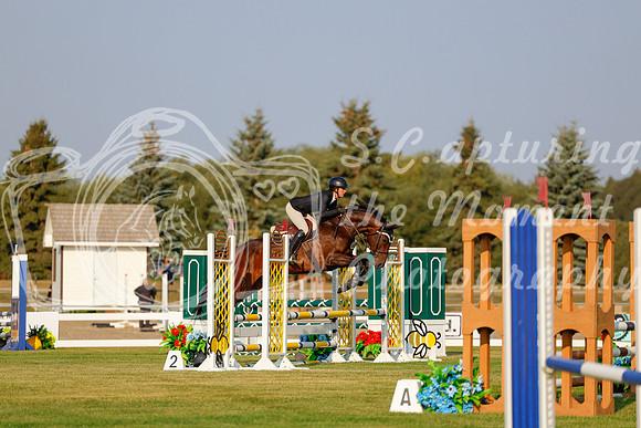 2025 - Haylee - Harvest Horse Show - Thursday, September 11th 00012