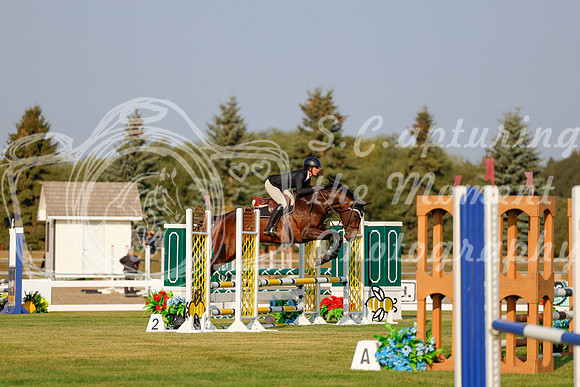 2025 - Haylee - Harvest Horse Show - Thursday, September 11th 00013