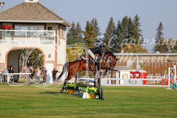 2025 - Haylee - Harvest Horse Show - Thursday, September 11th 00018