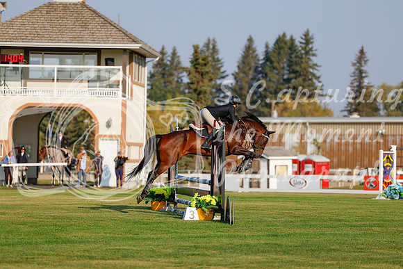 2025 - Haylee - Harvest Horse Show - Thursday, September 11th 00019