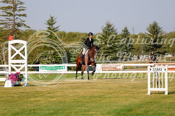 2025 - Haylee - Harvest Horse Show - Thursday, September 11th 00022