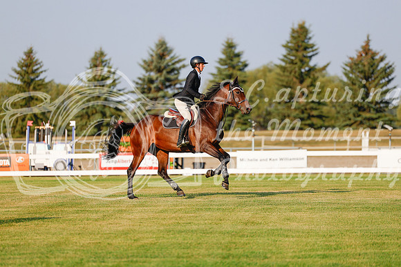 2025 - Haylee - Harvest Horse Show - Thursday, September 11th 00023