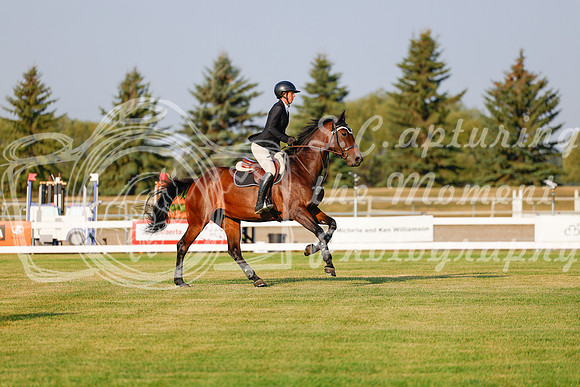 2025 - Haylee - Harvest Horse Show - Thursday, September 11th 00024