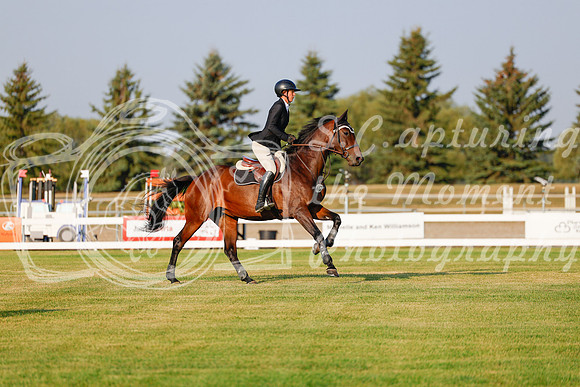 2025 - Haylee - Harvest Horse Show - Thursday, September 11th 00025