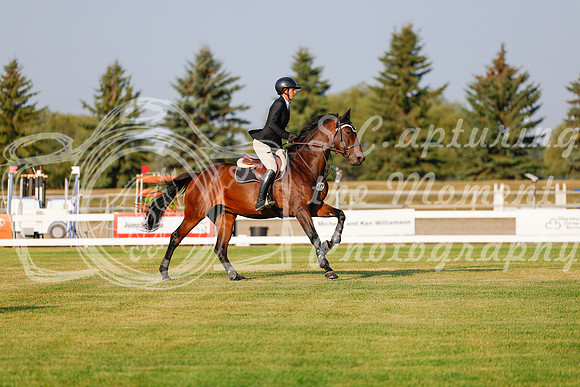 2025 - Haylee - Harvest Horse Show - Thursday, September 11th 00026