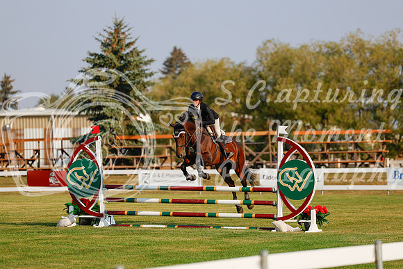 2025 - Haylee - Harvest Horse Show - Thursday, September 11th 00027
