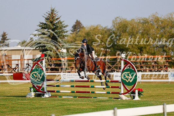 2025 - Haylee - Harvest Horse Show - Thursday, September 11th 00028
