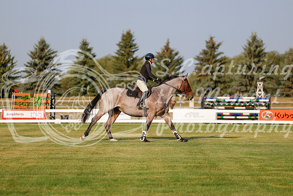 2025 - Haylee - Harvest Horse Show - Thursday, September 11th 00074