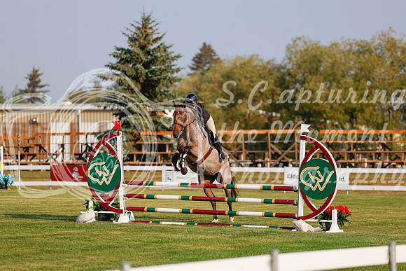 2025 - Haylee - Harvest Horse Show - Thursday, September 11th 00075