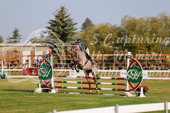 2025 - Haylee - Harvest Horse Show - Thursday, September 11th 00077