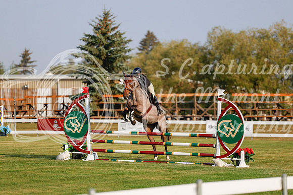 2025 - Haylee - Harvest Horse Show - Thursday, September 11th 00076