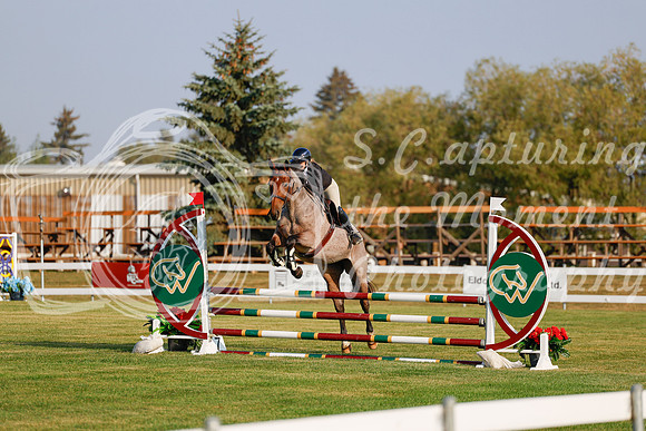 2025 - Haylee - Harvest Horse Show - Thursday, September 11th 00078