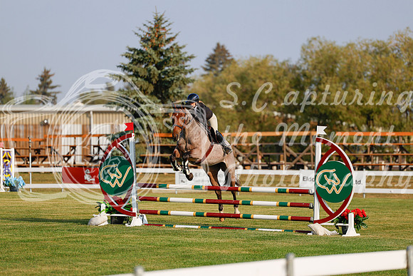 2025 - Haylee - Harvest Horse Show - Thursday, September 11th 00079