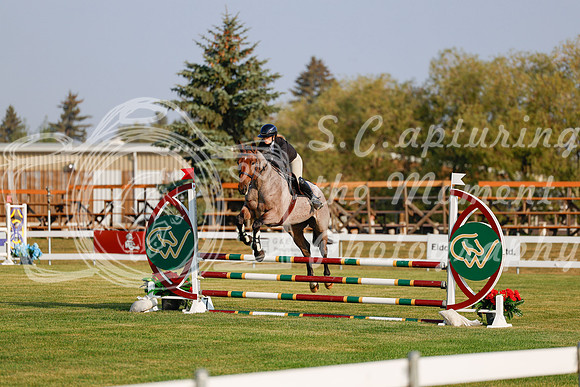 2025 - Haylee - Harvest Horse Show - Thursday, September 11th 00081