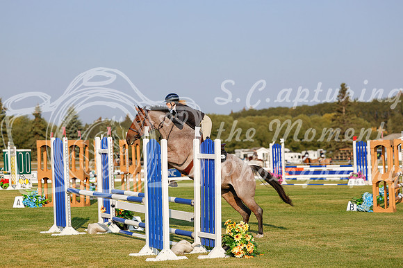 2025 - Haylee - Harvest Horse Show - Thursday, September 11th 00083