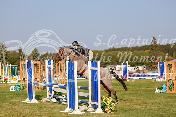 2025 - Haylee - Harvest Horse Show - Thursday, September 11th 00084