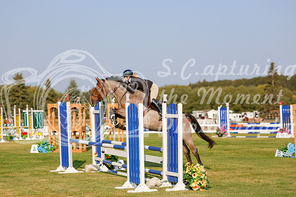 2025 - Haylee - Harvest Horse Show - Thursday, September 11th 00086