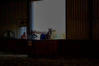 2025 - Haylee - Harvest Horse Show - Thursday, September 11th 02562