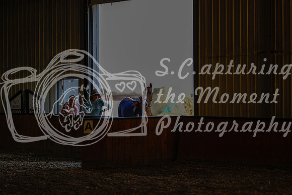 2025 - Haylee - Harvest Horse Show - Thursday, September 11th 02562