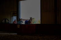 2025 - Haylee - Harvest Horse Show - Thursday, September 11th 02560