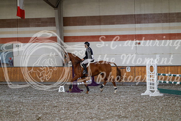 2025 - Haylee - Harvest Horse Show - Thursday, September 11th 02564